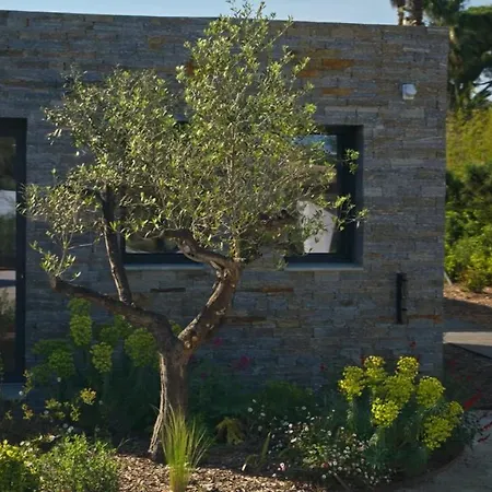 Alda Villa Saint-Tropez